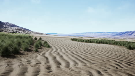 beautiful yellow orange sand dune in desert in middle asia