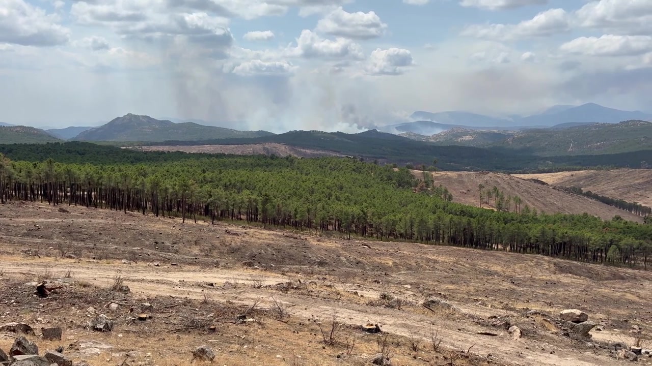 Incêndios florestais devastadores em Ávila, Espanha. Filmagem manual durante o dia