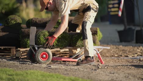 natural grass turf professional installer.