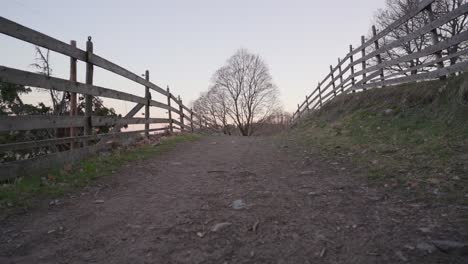 old trail between the fences. rural landscape