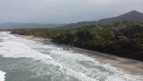 Rotierende-Antenne-Von-Wellen,-Die-Am-Sonnigen-Strand-Und-Im-Dunstigen-Grünen-Dschungel-Brechen