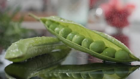 green pea seeds rolling on table towards open seed-pod with water mist