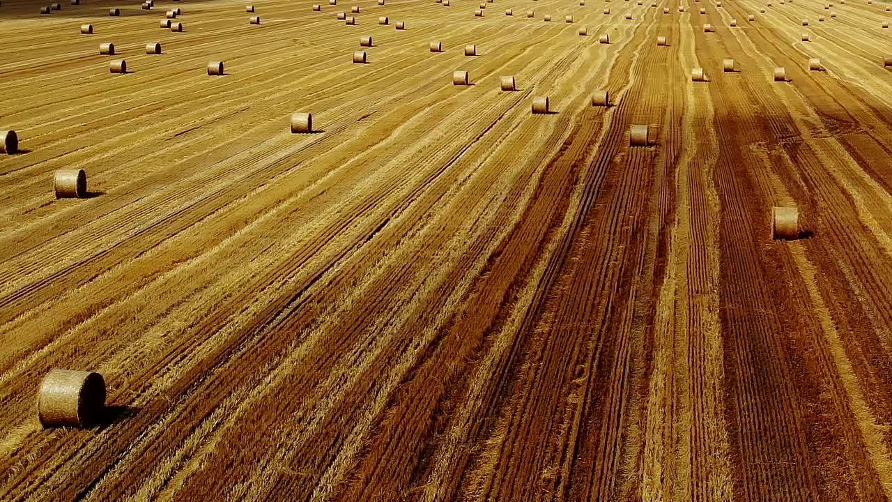 Aerial shot of straw rolls in field