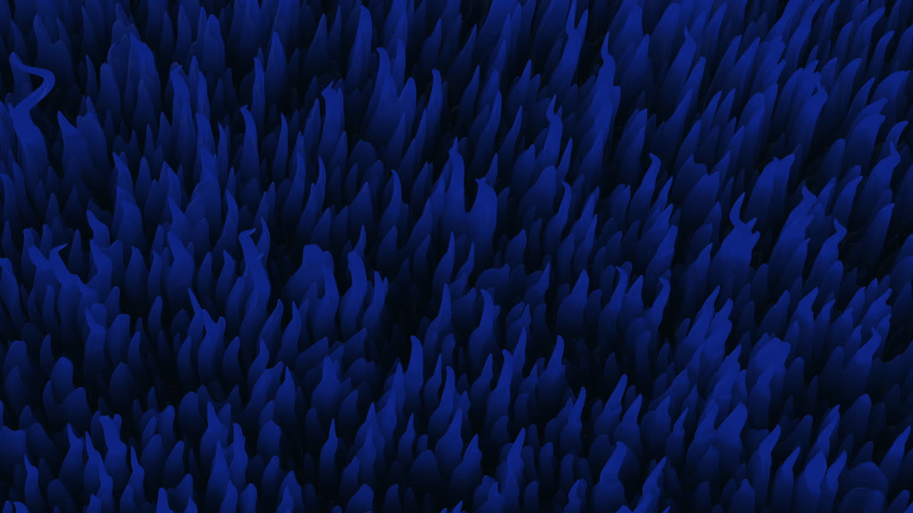 물  ⁇  에 있는 파란 암초