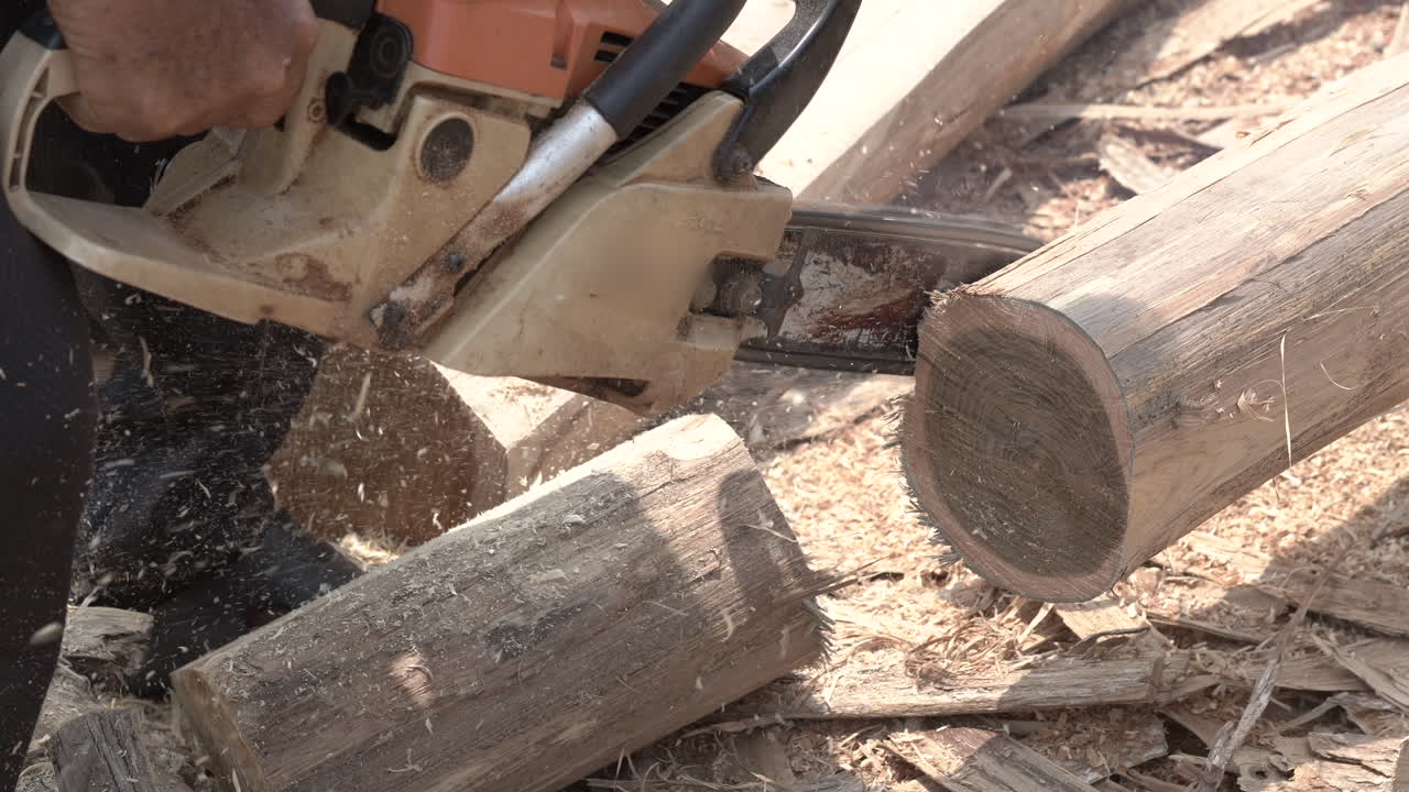 Old man use Motor Saw cut The tree.Working lumberjack uses chainsaw to cut tree.