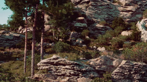 Magical mountains summer rocky landscape
