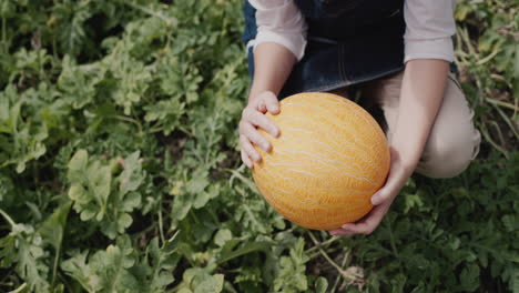 a woman holds a large ripe melon in her hands.