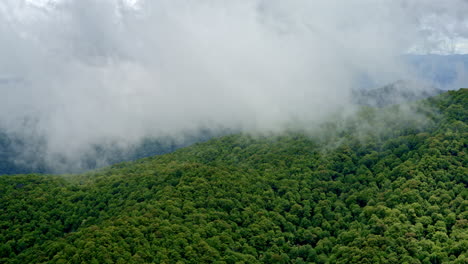 drone flies across damp smoky forests veiled in rain and haze
