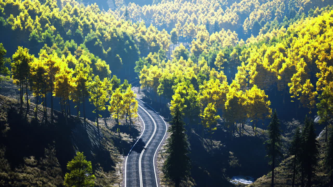 Winding road through vibrant autumn forest bathed in golden sunlight