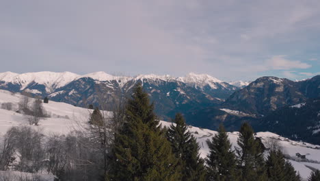 aerial drone ascending flying over trees revealing a snowy winter mountain landscape, as a car driving away on a road