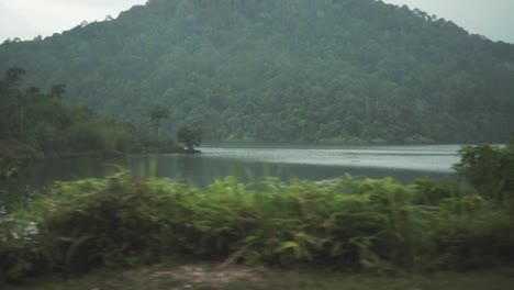beautiful view of rainforest lake and mountain slow motion drive by panning shot