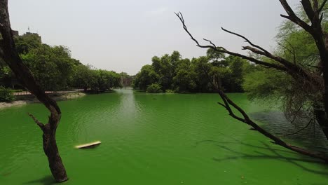 time-lapse of a green lake at lodhi gardens in new delhi, india