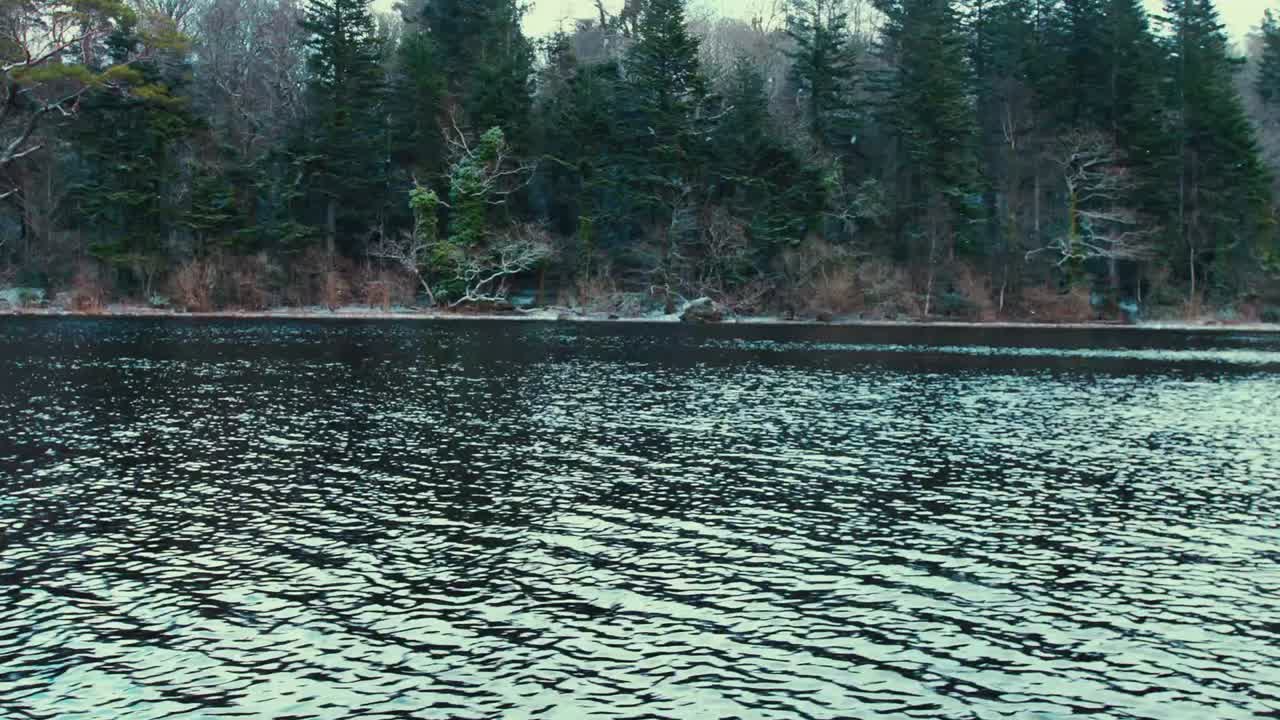 Ripresa in movimento di una foresta innevata da una barca in un freddo inverno