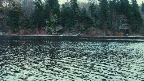 Snowy-forest-tracking-shot-from-boat-cold-Winter