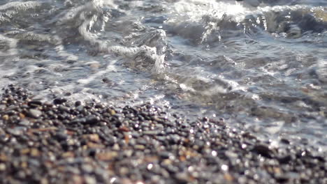 macro on the rocks at the beach