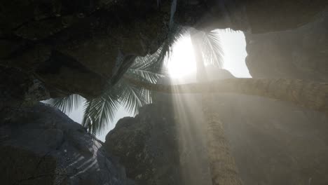 big palms in stone cave with rays of sunlight