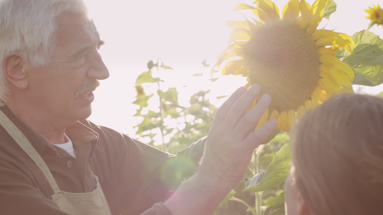 Male Farmer Talking About Sunflowers