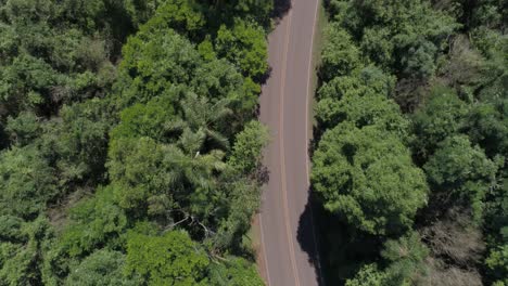 Camino-A-Través-De-Un-Frondoso-Bosque---Argentina-