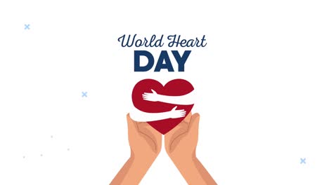 world heart day lettering animation with hands protecting