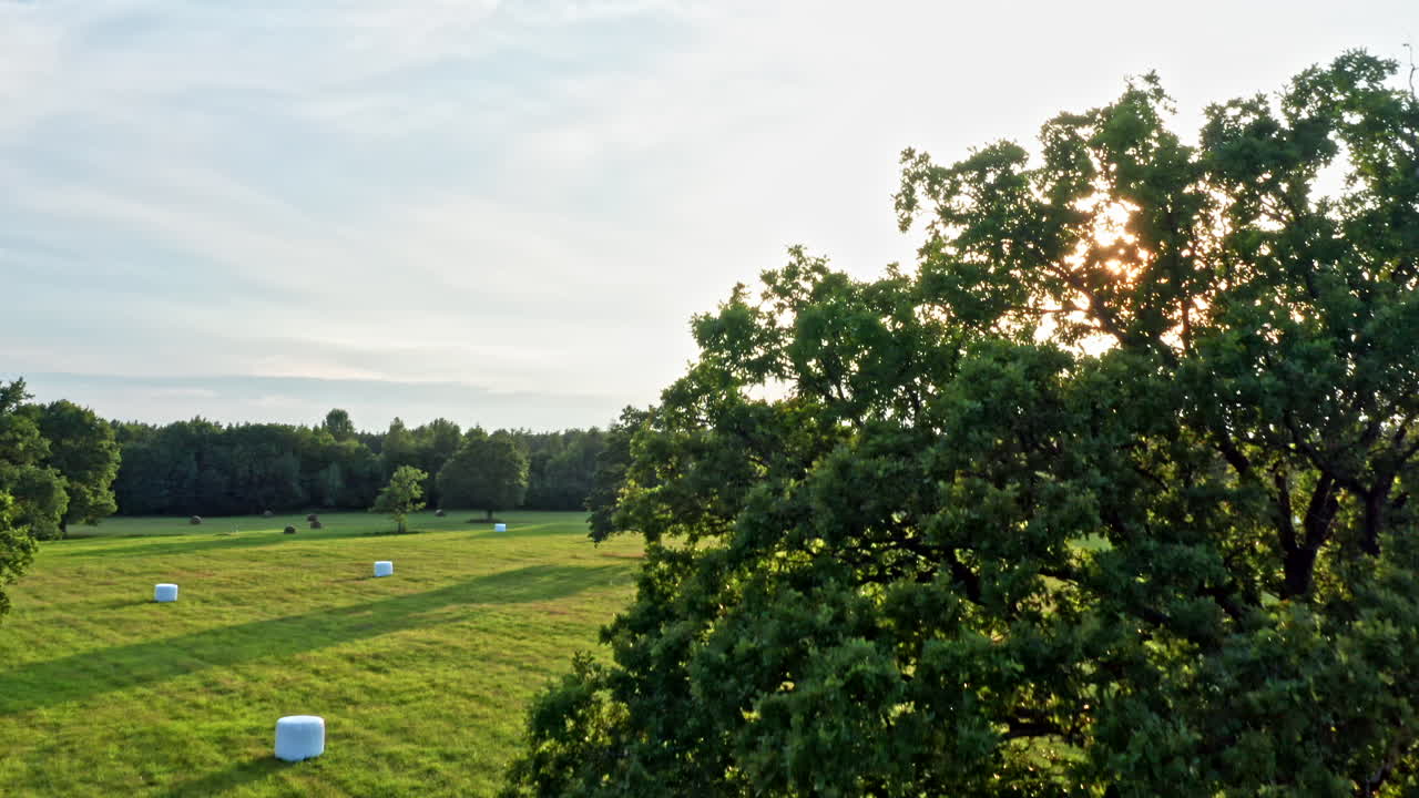 Epic Aerial View of Beautiful Field With Trees in Sunlight - Dolly Shot, Pedestal Shot, and Tilt Shot