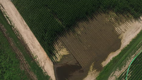 Overhead-aerial-shot-of-countryside-road-next-to-vast-corn-field,-dolly-in