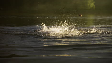 Person-drowning-in-the-lake