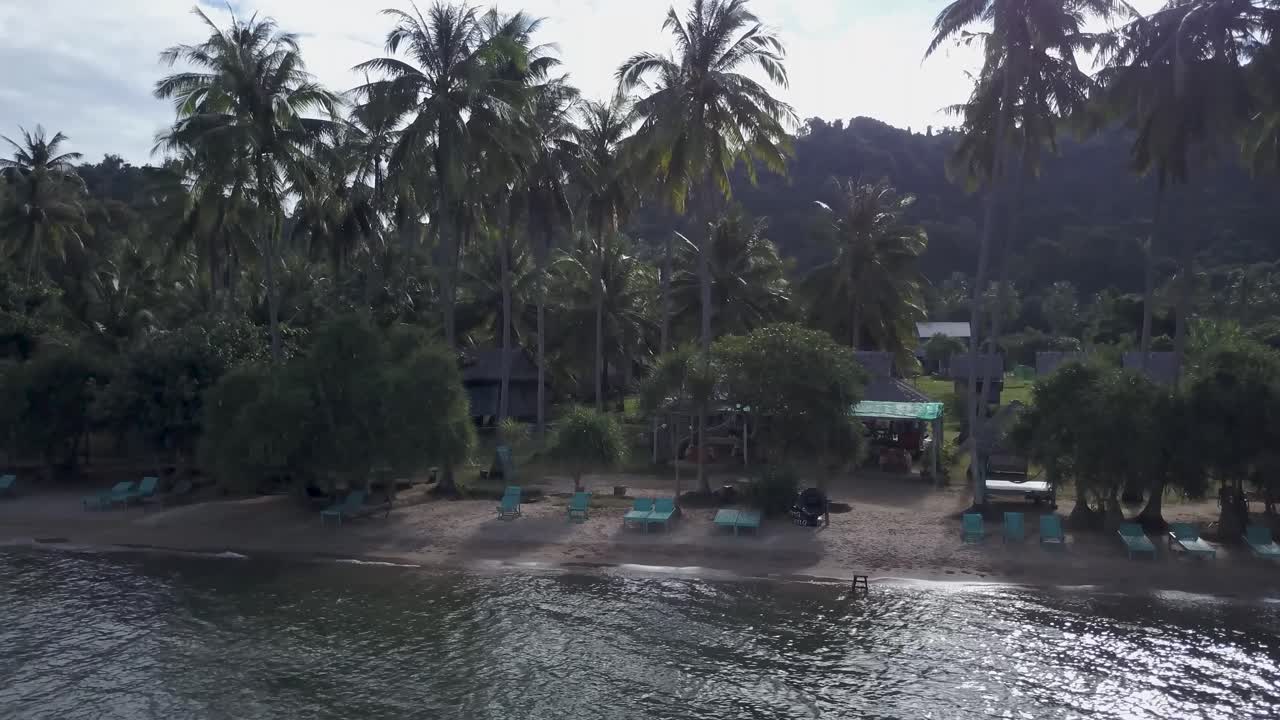 playa tropical con palmeras