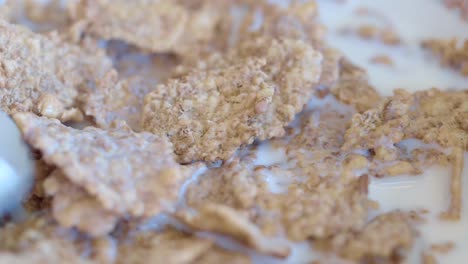 cereales con leche