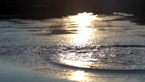 slow motion footage of splashes on water surface against a background of sunset light