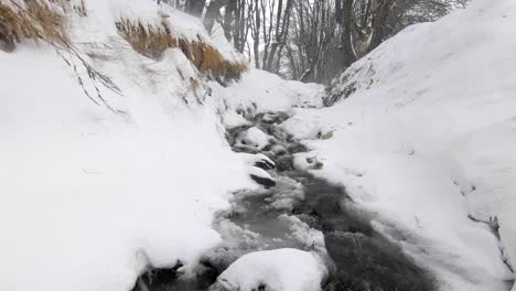 un pequeño arroyo de agua que fluye a través de un bosque nevado