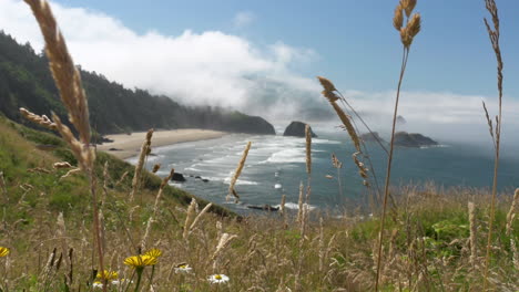 Tallos-De-Hierba-Ondean-Suavemente-En-La-Brisa-Con-Vistas-A-La-Playa-Crescent,-Parque-Estatal-Ecola,-Oregon