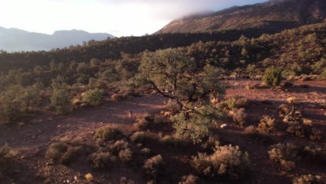 Drone-Volar-Sobre-Lovell-Canyon-Road-Trail-Sendero-De-Trekking-Para-Explorar-Montañas-Rojas-Formación-Rocosa-Paisaje-Escénico