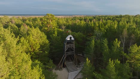 Luftaufnahme-Eines-Modernen,-Bootförmigen-Aussichtsturms-Mitten-Im-Kiefernwald,-Nordischer-Wald,-Waldweg,-Sonniger-Abend,-Goldenes-Stundenlicht,-Drohnenaufnahme,-Die-Sich-Rückwärts-Bewegt