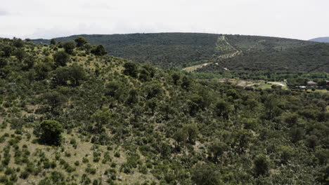 Low-level-drone-aerial-across-the-wildflower-covered-foothills-of-the-Sierra-de-Guadarrama-near-Manzanares-el-Real-and-Parque-Nacional-de-La-Pedriza