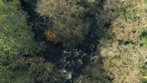 North-York-Moors,-Yorkshire,-River-Esk-Drone-Footage,-Following-flowing-river-Water-above-River-Esk,-Egton-Bridge,-Phantom-4-aerial---Autumn-Clip-2