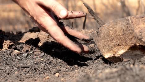 man-picking-up-with-his-right-hand-black-dirt-in-barren-terrain-on-sunny-day