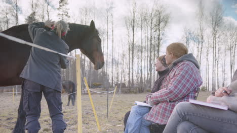 facilitador entrenado hace la limpieza energética del caballo después de la sesión de terapia equina