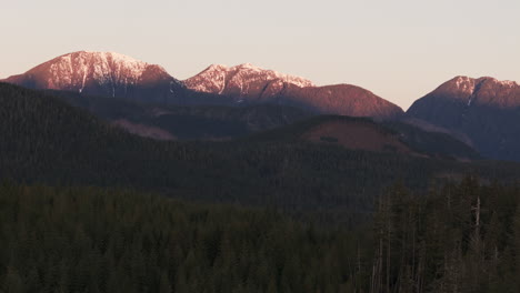 Entdecken-Sie-Nimpkish:-Die-Regenwaldgipfel-Im-Norden-Von-Vancouver-Island