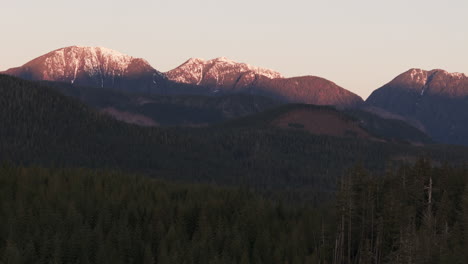 discover nimpkish: rainforest peaks of northern vancouver island