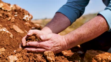 a male worker at a vineyard, kneeled down to check the quality of the soil by sampling it with his own bare hands