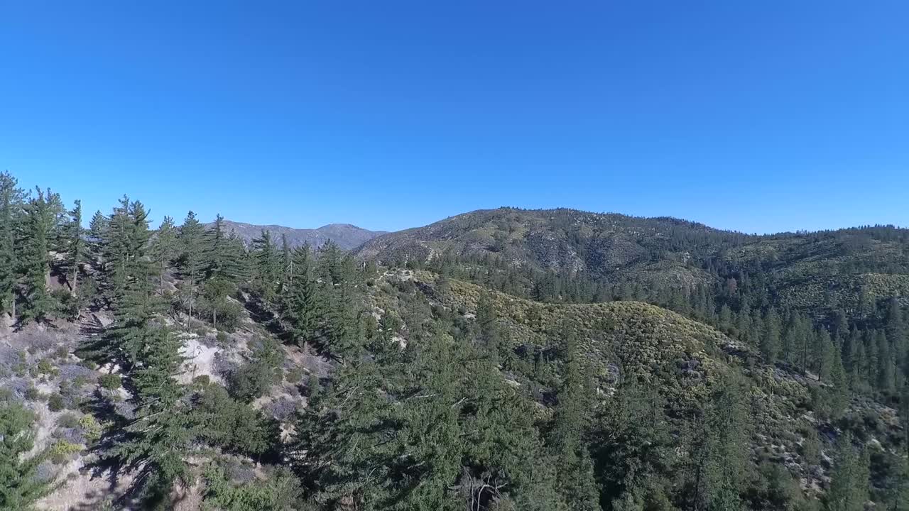 imágenes de drones del bosque cerca del campamento de chileo en el sur de california