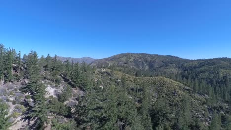 Drone-footage-of-forest-near-Chileo-campground-in-Southern-California