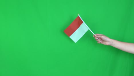 close up of unknown hand holding a waving indonesian flag on green screen background in the studio. shot in 4k resolution