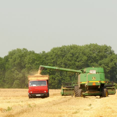 modern combine harvesting grain in the field