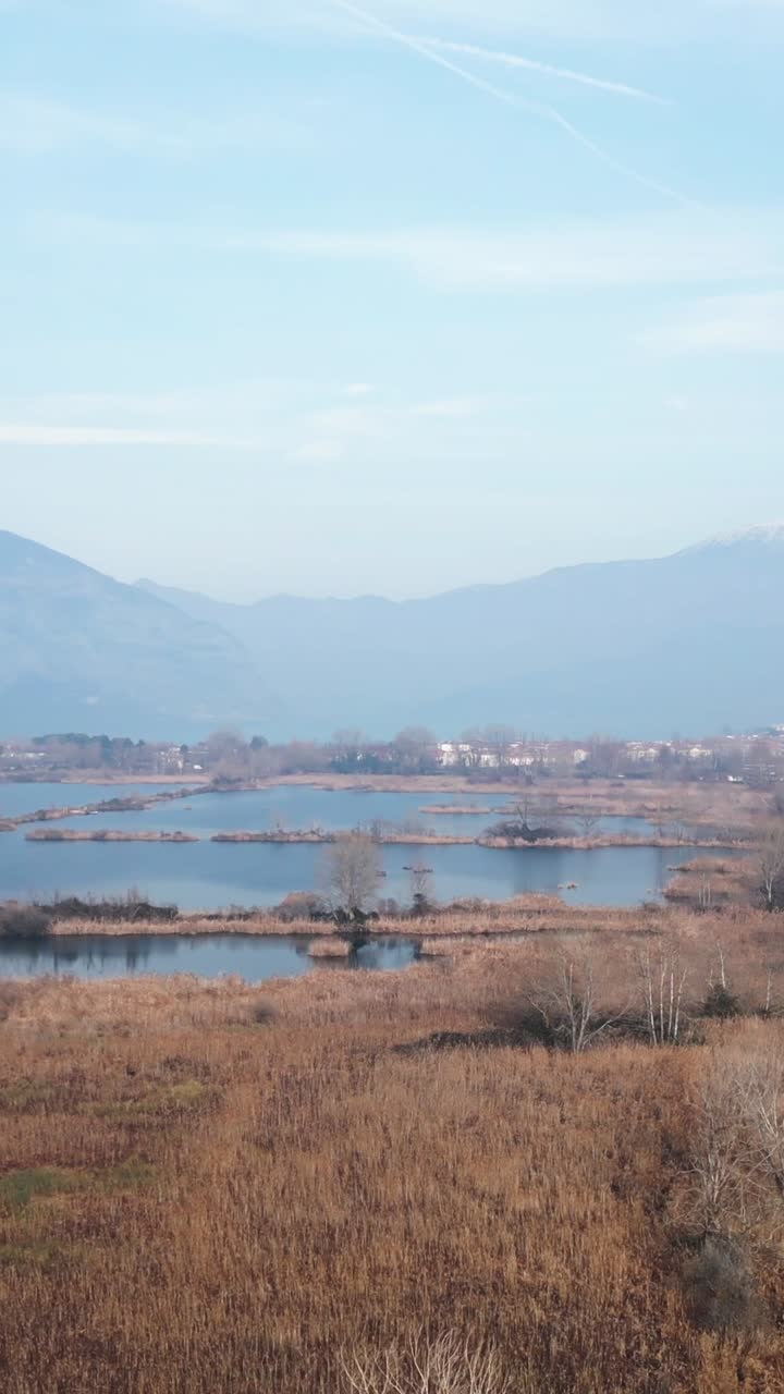 Scenic Lake Landscape with Mountains