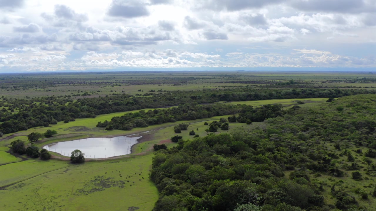 Una piccola laguna delimitata da alberi si trova all'interno di un vasto mosaico di praterie e foreste sotto un ampio cielo nuvoloso nei Llanos colombiani, ripresa aerea con dolly a sinistra