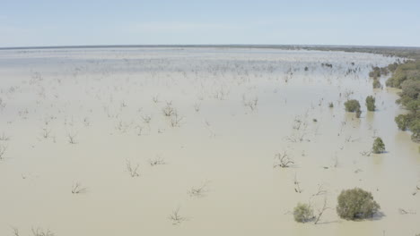 toma aérea del lago con árboles muertos en el agua, más arriba para mostrar la escala