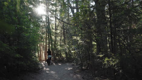 mujer y su perro caminando por el bosque, alejándose