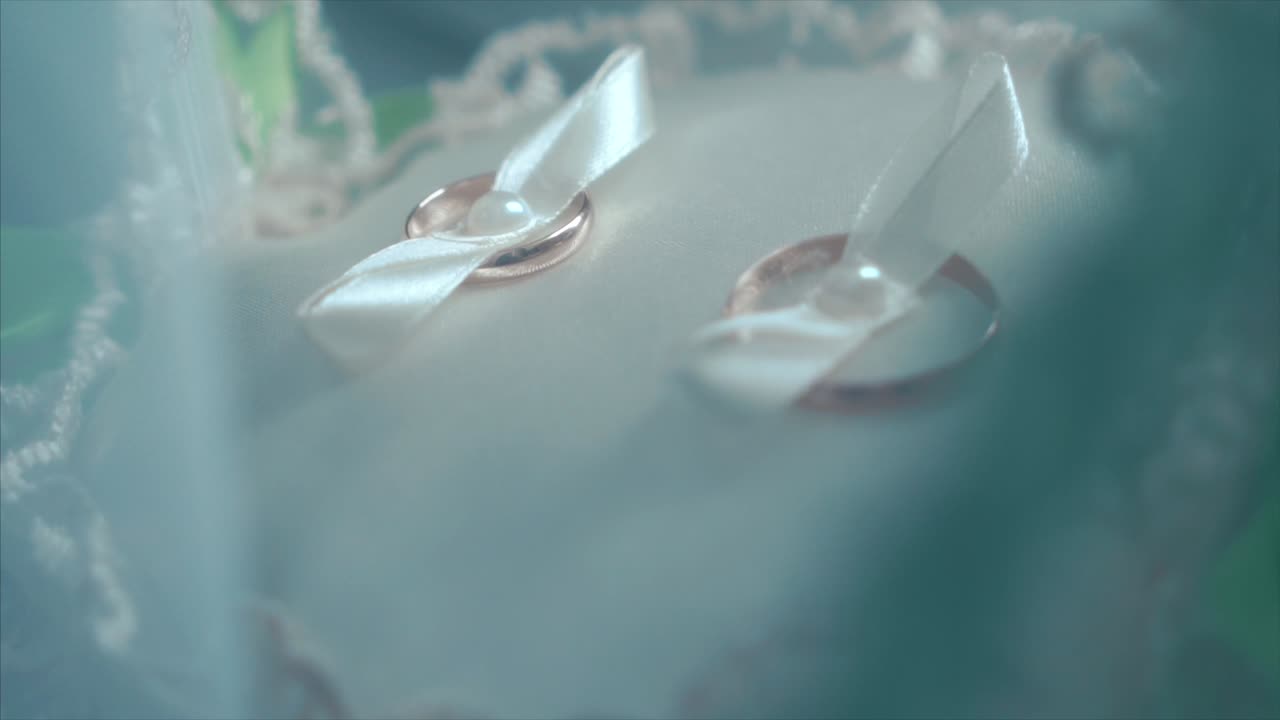 Wedding Rings on a Decorative Pillow