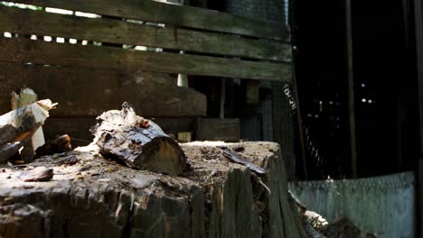 woman chopping wood with axe 4k